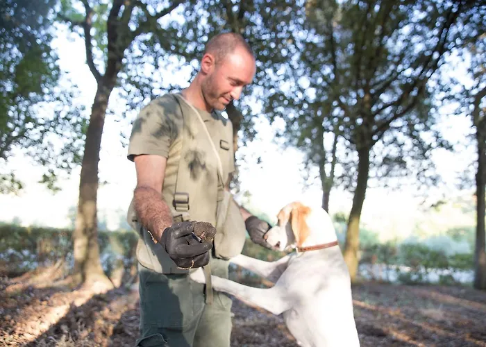 Relais Monte Solare Wellness & Landhaus Panicale